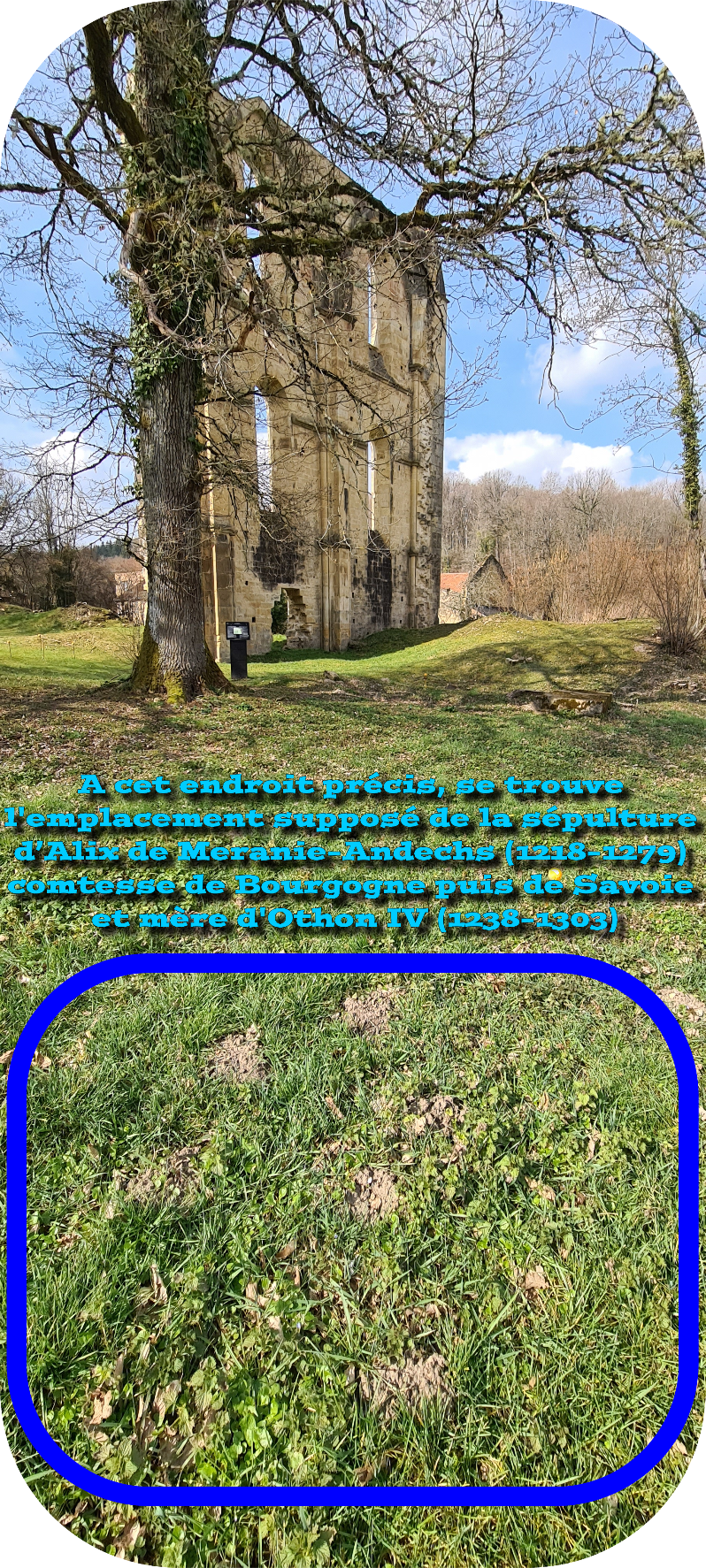 alix de meranie cherlieu sepulture entiere carrée.jpg